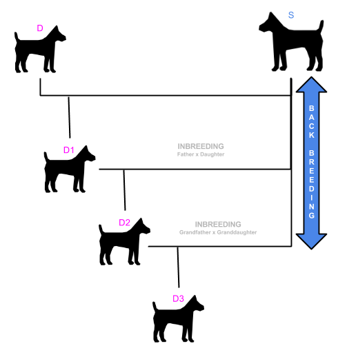 what-is-the-meaning-of-td-scdma