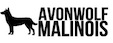 Avonwolf Malinois Beeder