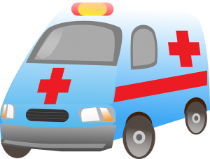Dog Whelping Emergencies