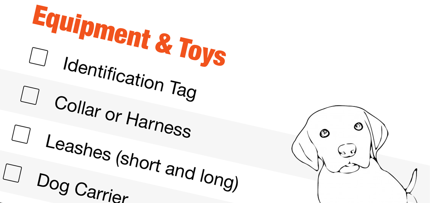 first time puppy owner shopping list