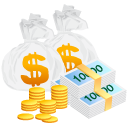 Money Cash icon