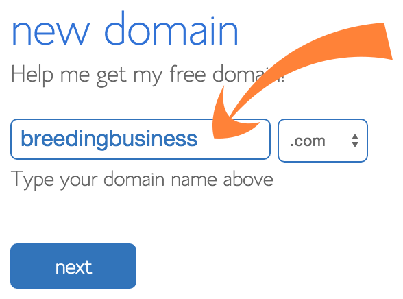 Bluehost - Enter Your Domain Name