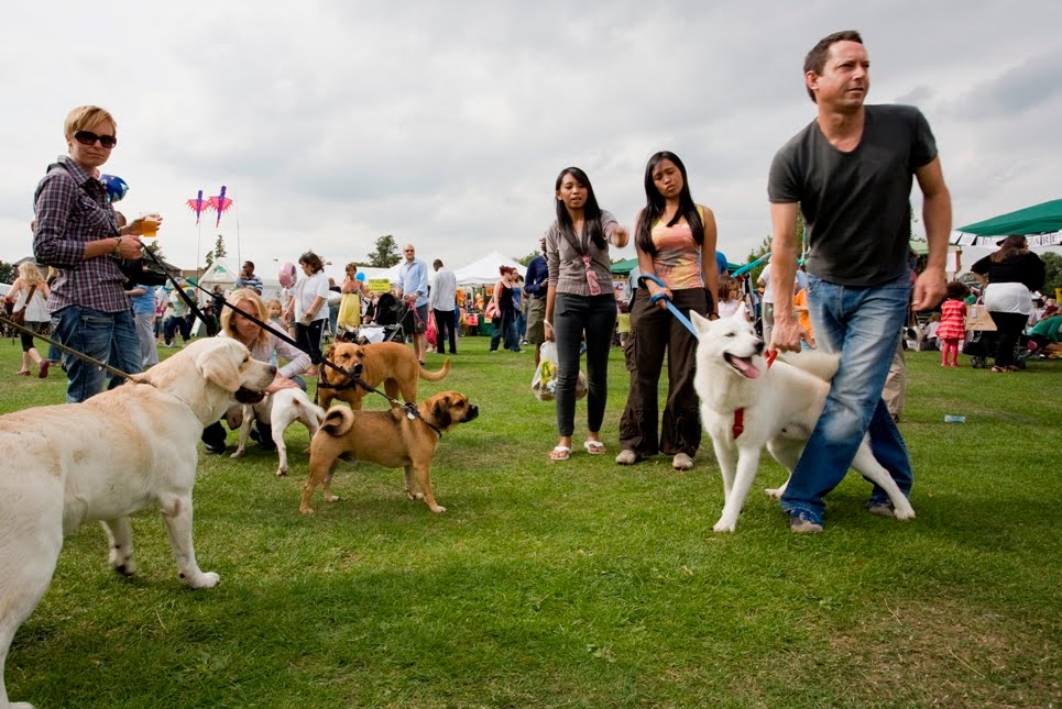 Fun Dog Show at Peckham Rye