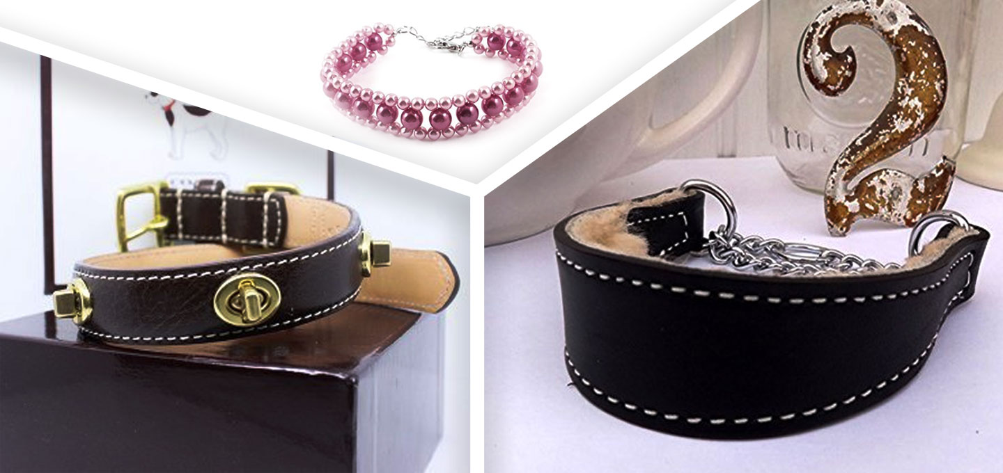 5 Most Luxurious Designer Dog Collars Reviewed (Wow!)
