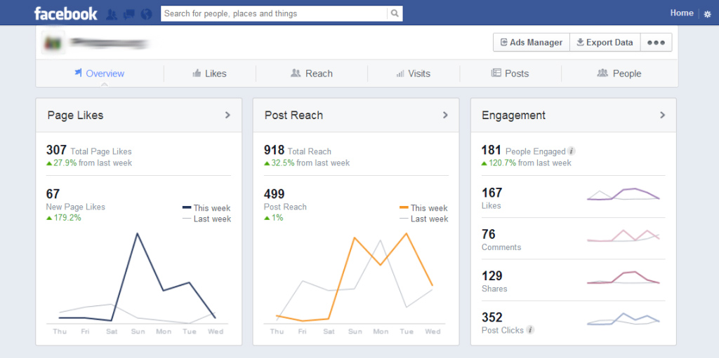 Example of a Facebook Insights page.