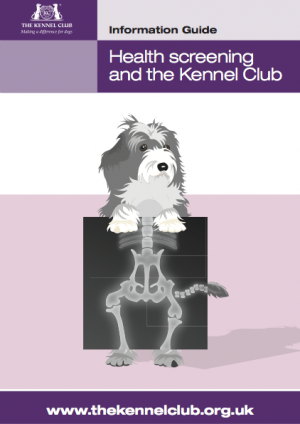 Health screening and the Kennel Club