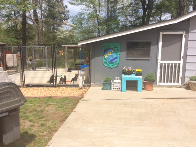 Carole Davis' Main Kennel