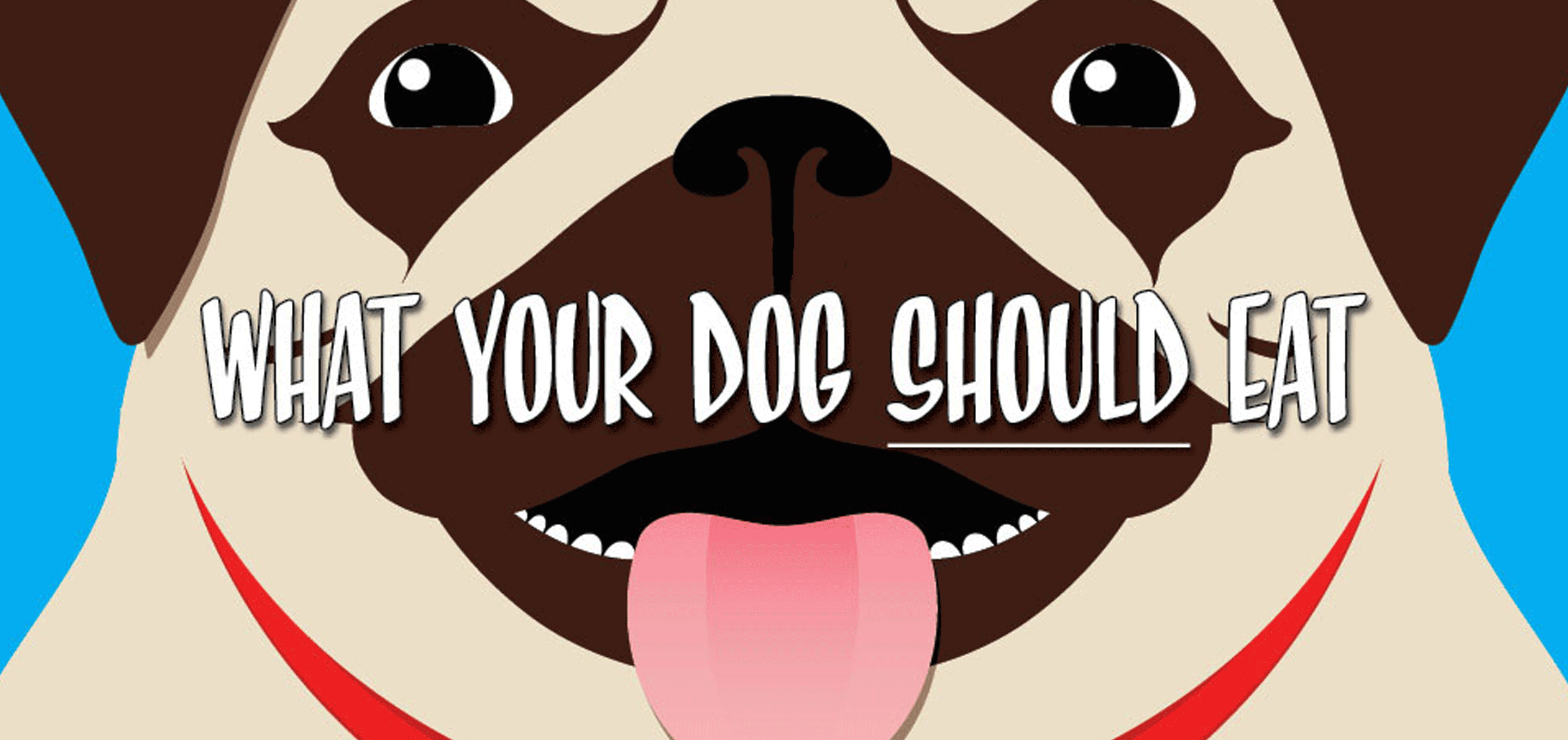 10+ Best Dog Food & Nutrition Infographics Ever Made