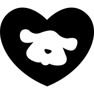 dog29