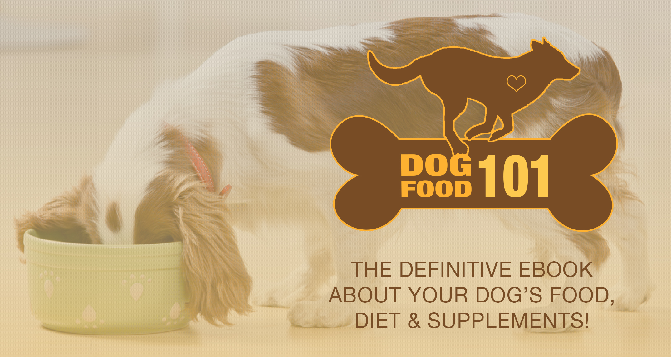 Dog Food 101 - How To Choose The Best Diet For Your Dog
