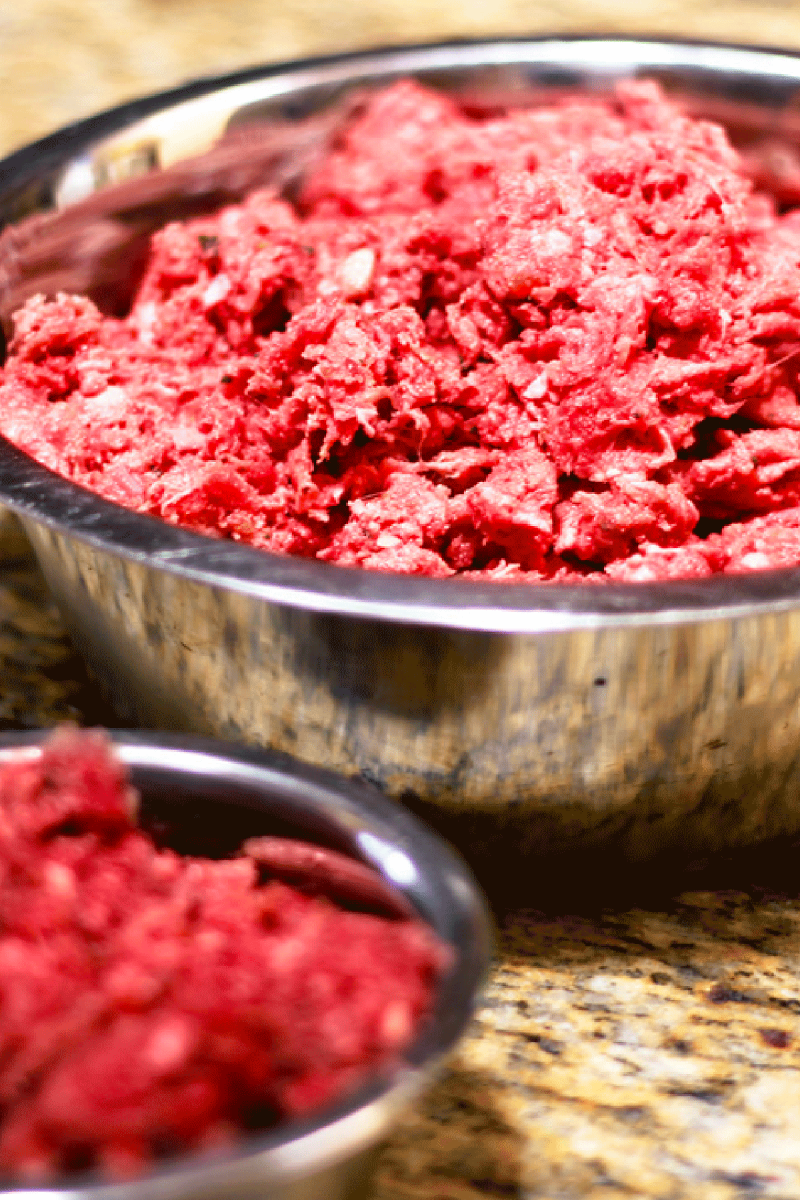 raw dog food