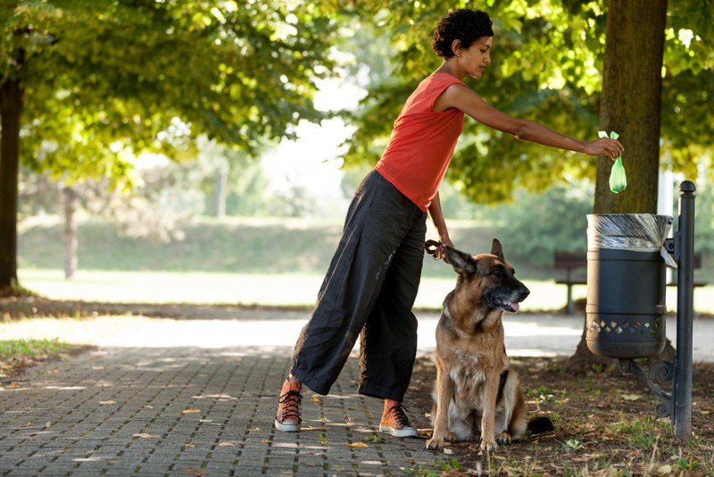 Woman Picks up Dog Poop With Wast Bags