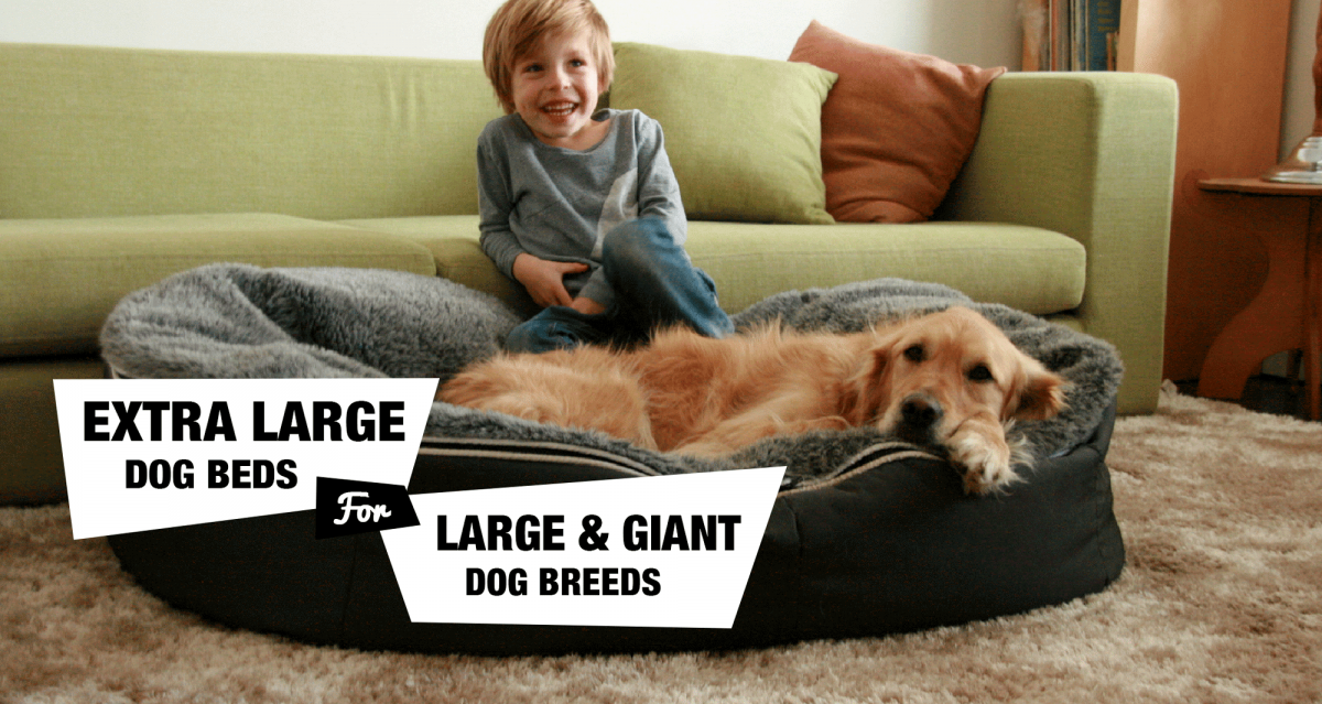 6 Extra Large Dog Beds For XL/XXL Dog Breeds Reviewed