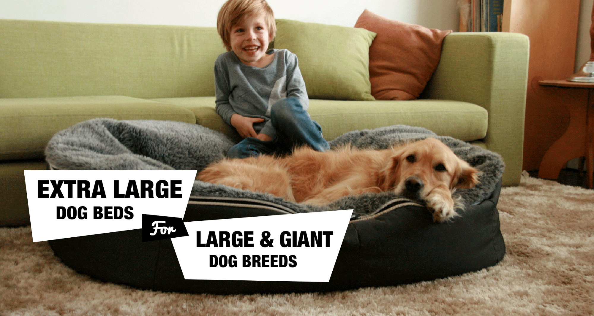 extra large dog sofa bed
