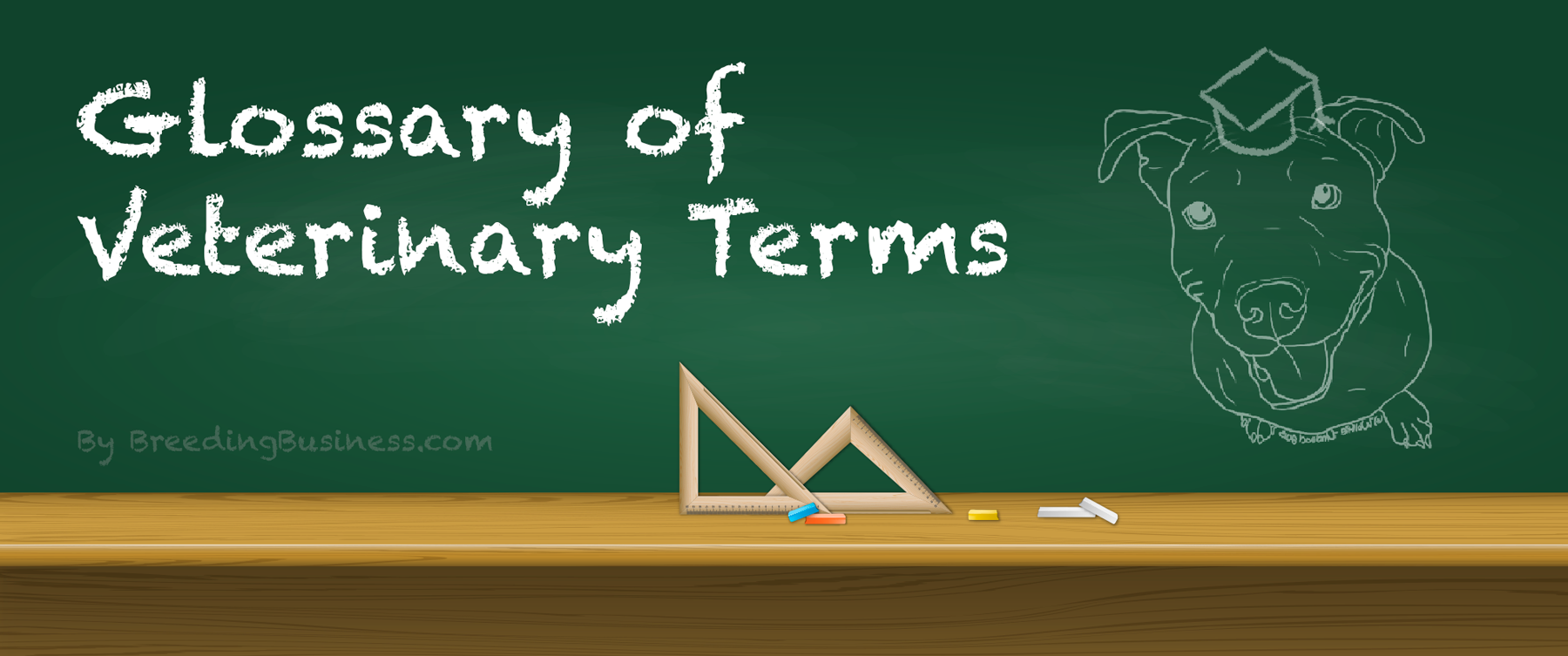 Glossary of DogRelated Medical & Veterinary Terms