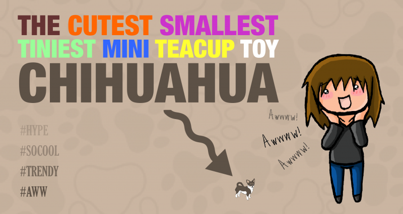 The “Smallest Tiniest Mini Teacup Dog Breed” Trend