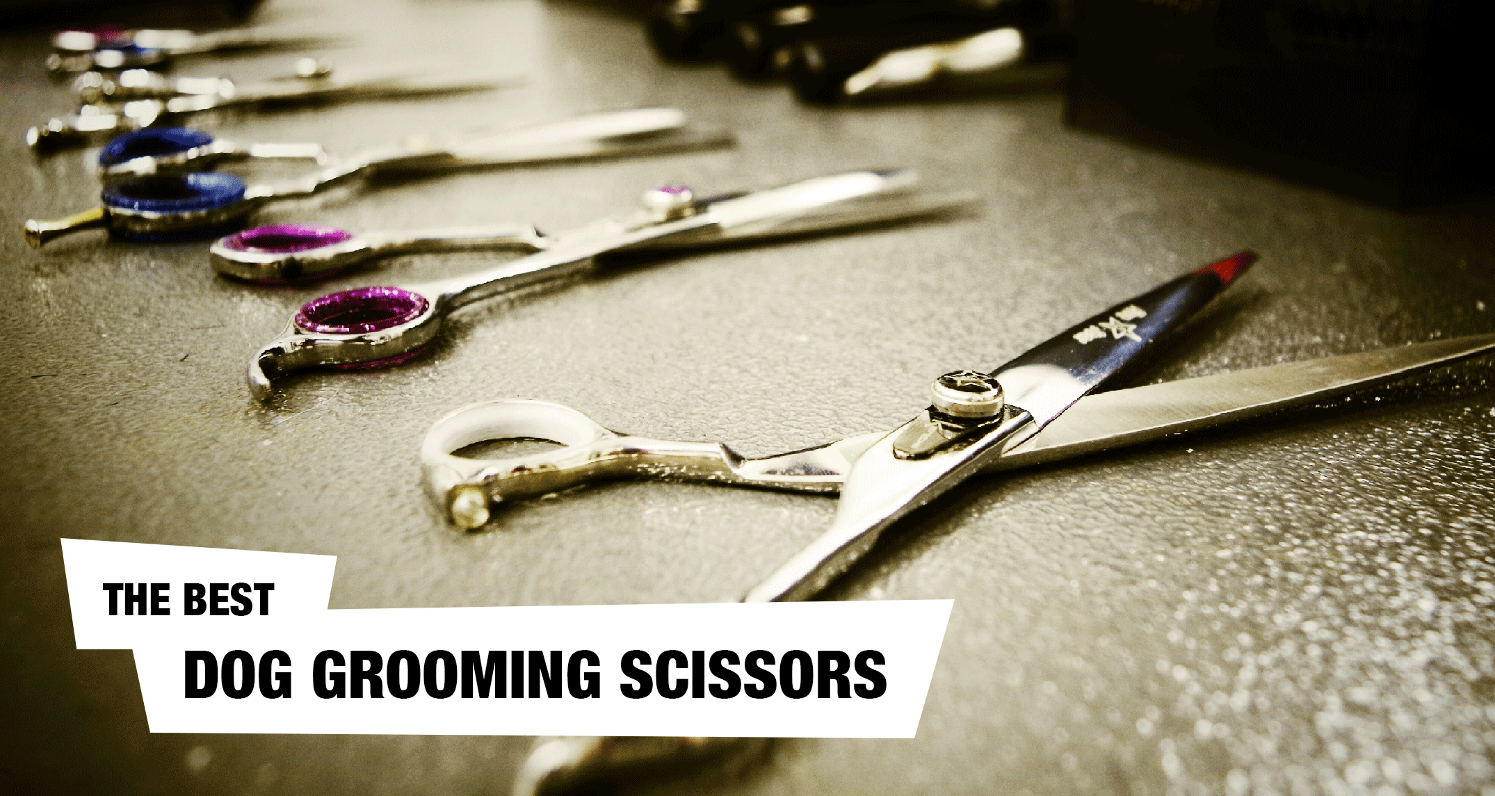Best Dog Grooming Scissors \u0026 Clippers 