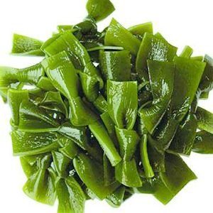 Kelp Seaweed
