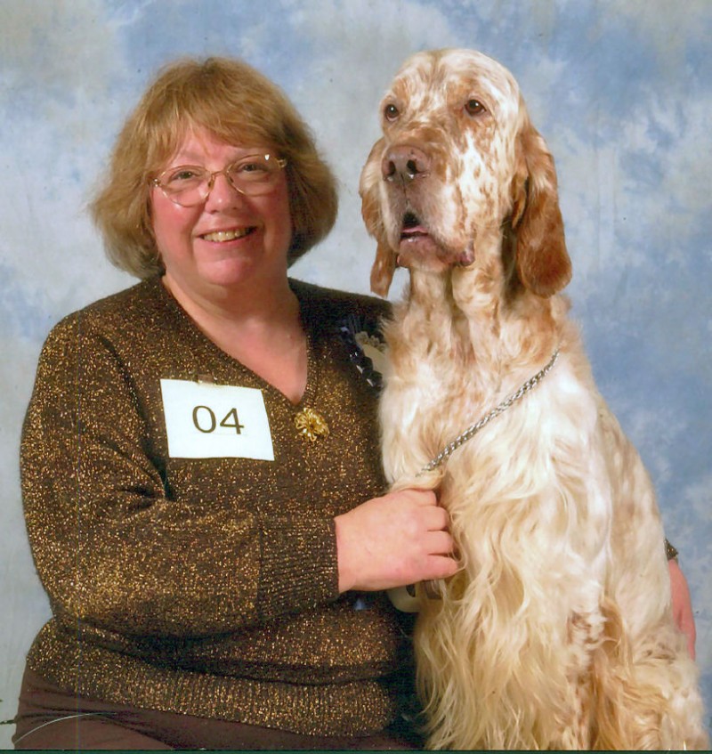 Champion English Setter With Handler Heather Lee