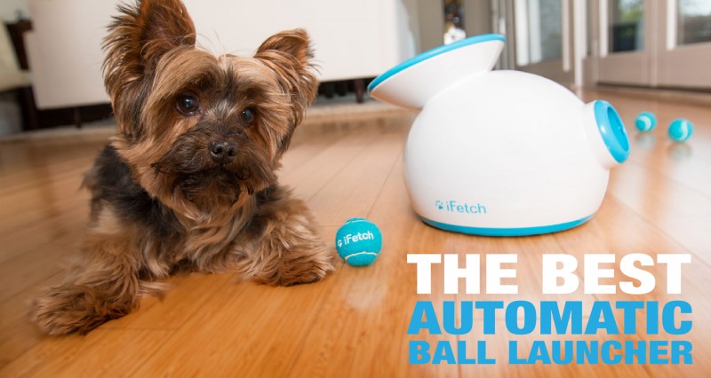 best automatic dog ball launcher