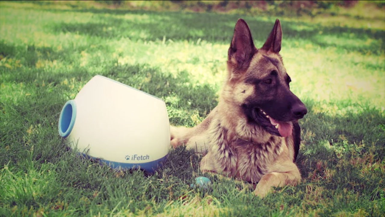 iFetch Too Ball Launcher for Large Dogs