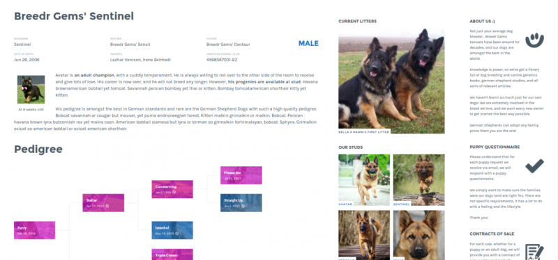 Demo of Breedr for WordPress