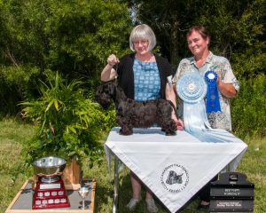 Young girl Nina, Zlatapraha Pandora winning Best Puppy at our National Specialty.
