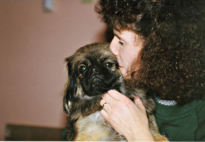 Henry and Susan Speranza, the dog that gave her the dog show bug.