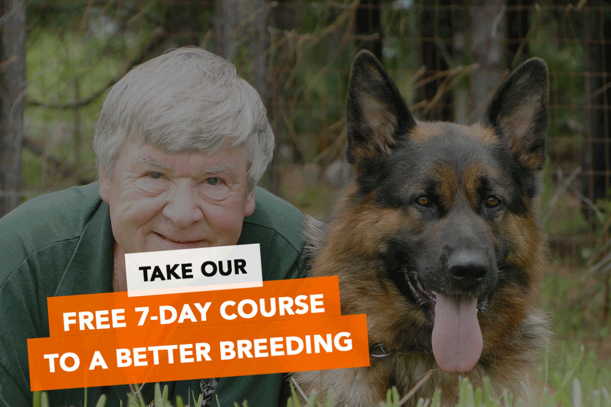 dog breeding course