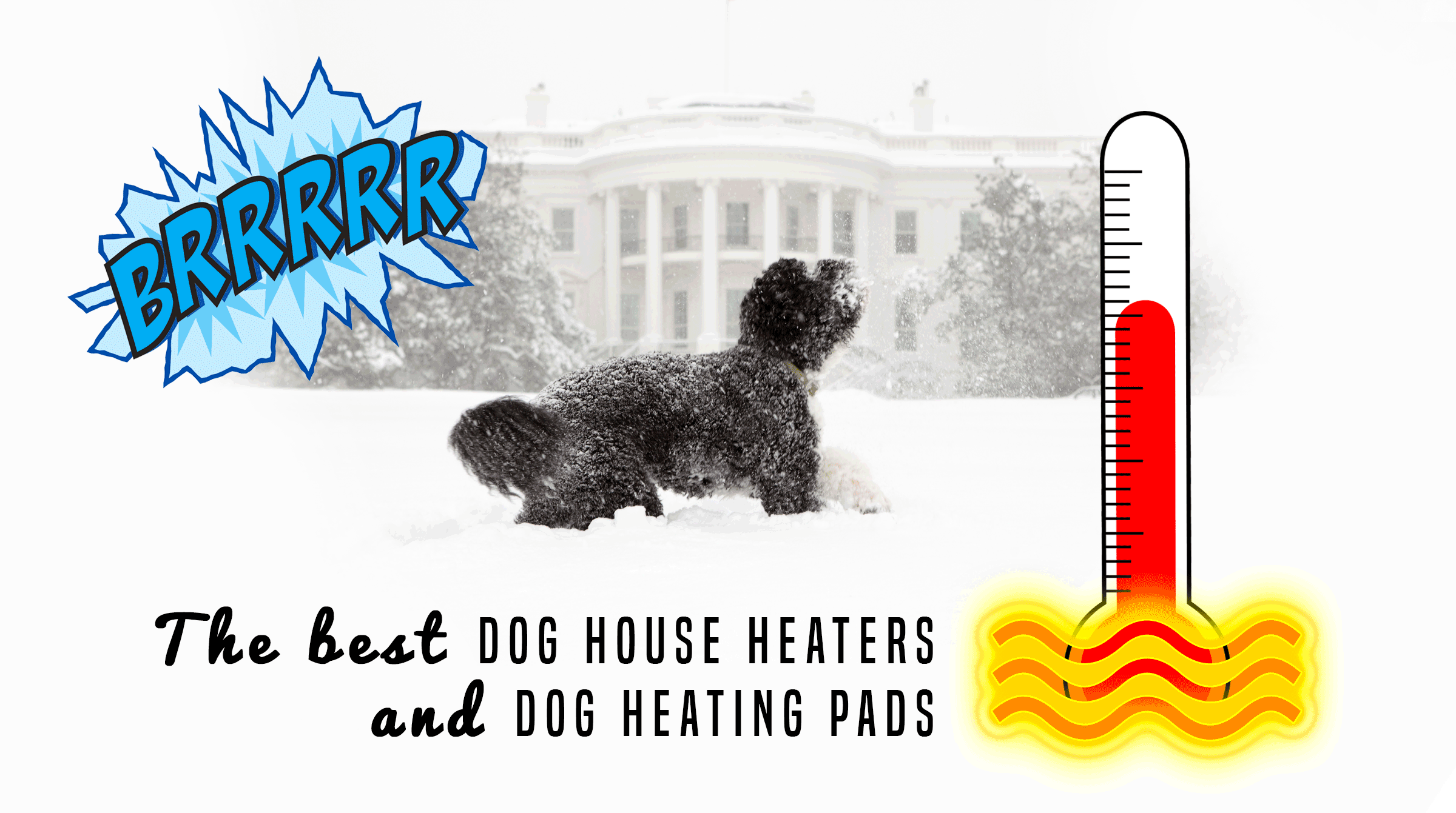 top heated dog houses