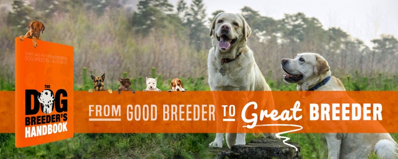 11+ Tips For Beginners Starting In Dog Breeding