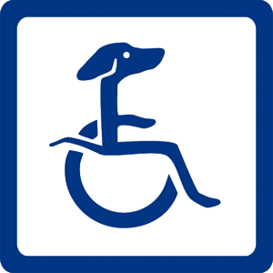 disabled dogs and handicapped puppies