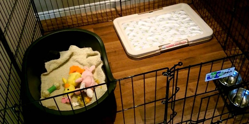 large dog playpen with floor