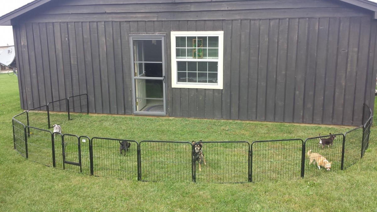 pet play yard fence