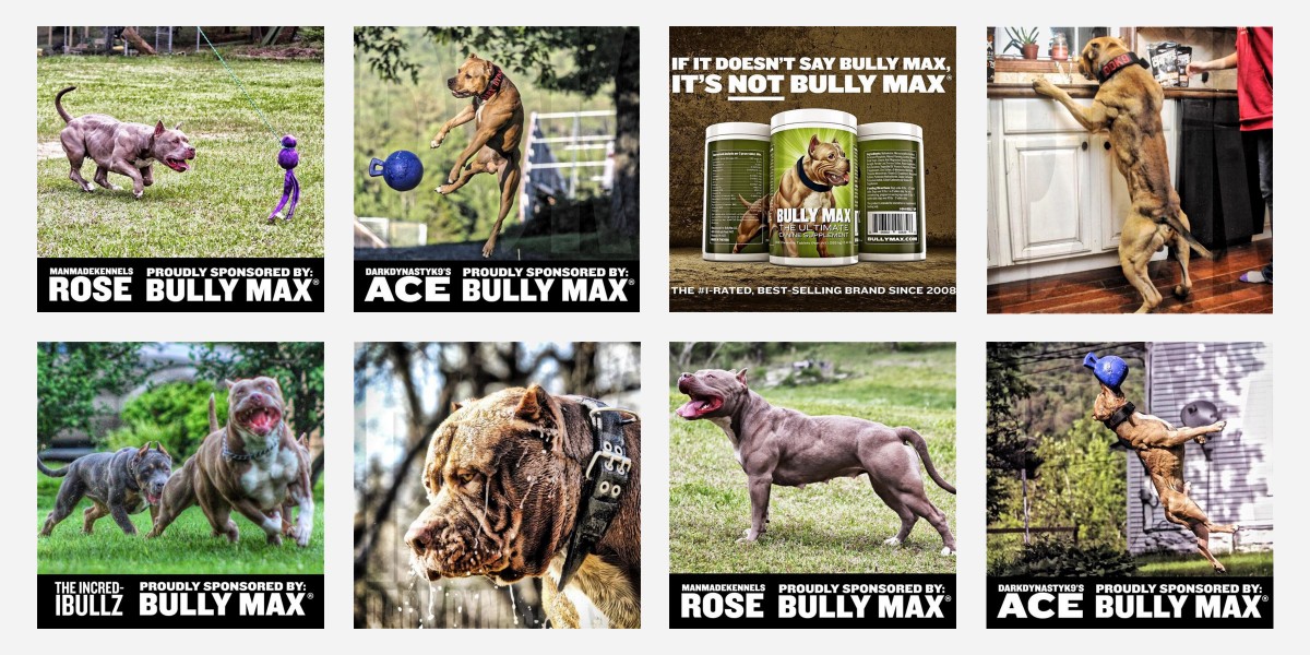 bullymax instagram