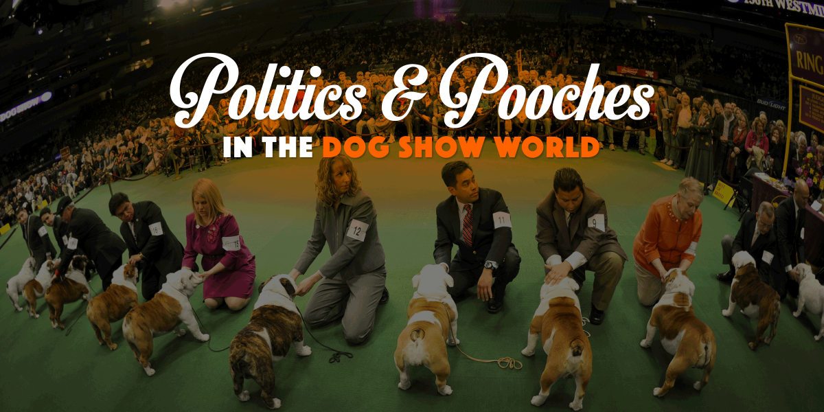 Politics & Pooches in the dog show world.