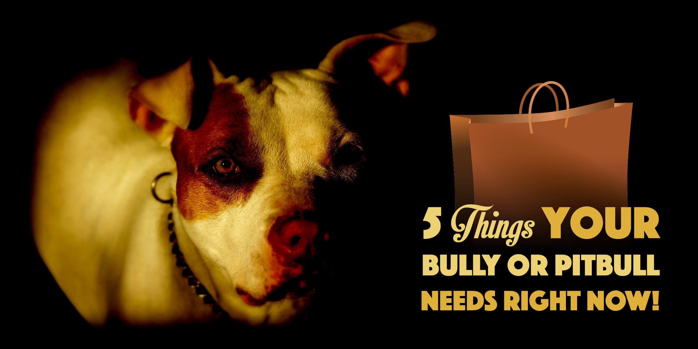 best treats for american bully puppy