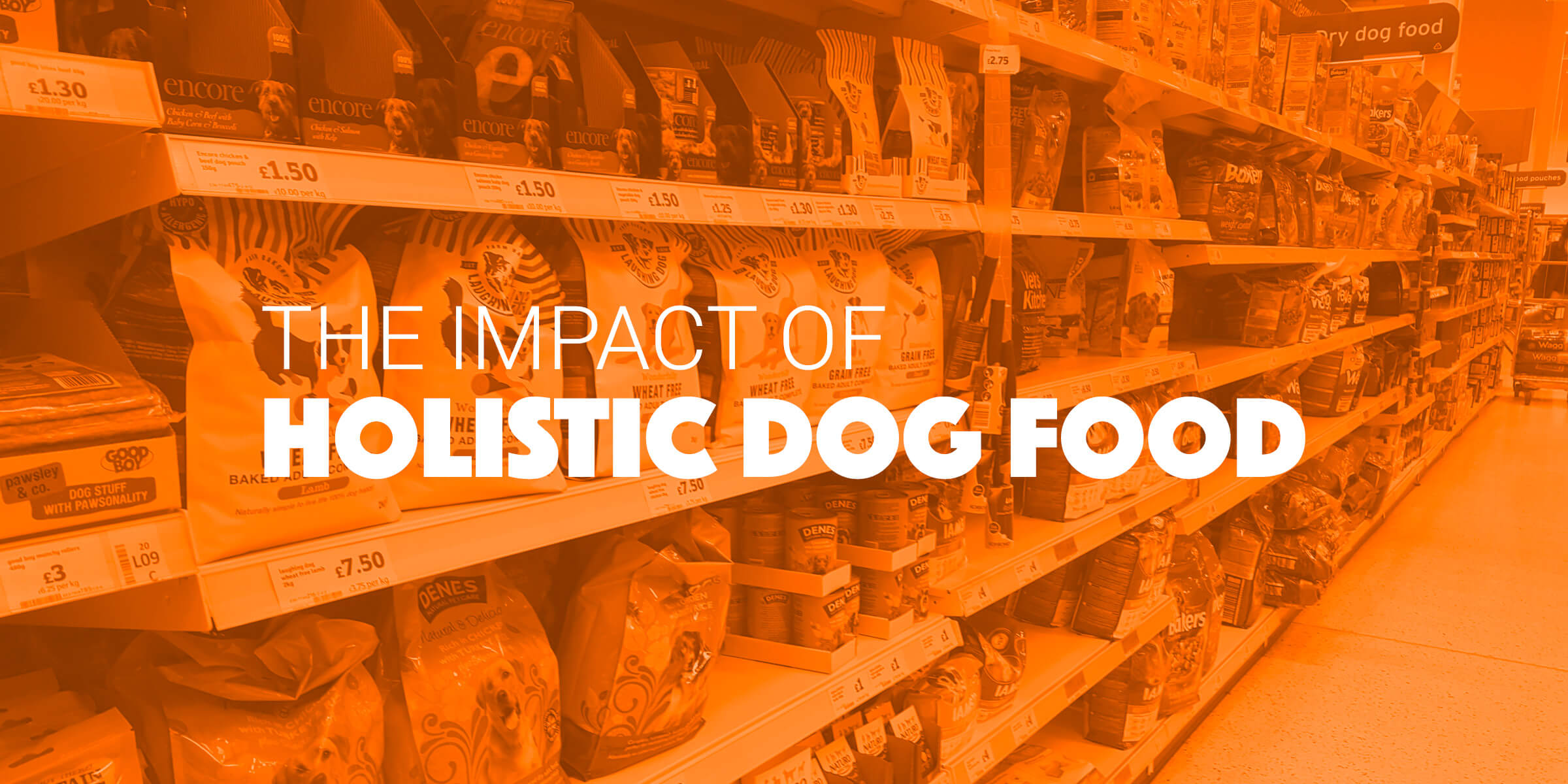 What Is Holistic Dog Food & Why You Should Start Now!