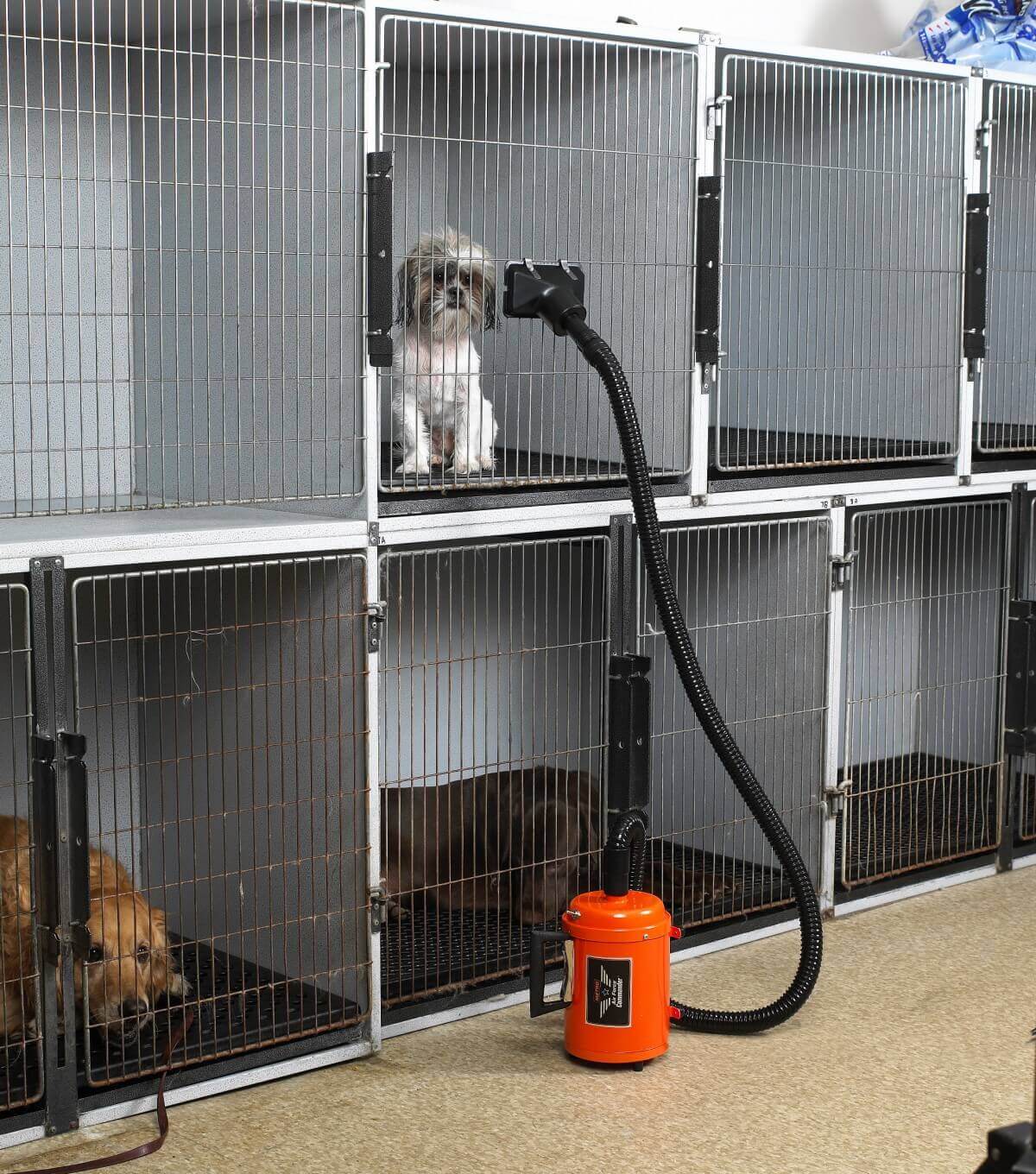 Cage dryer store