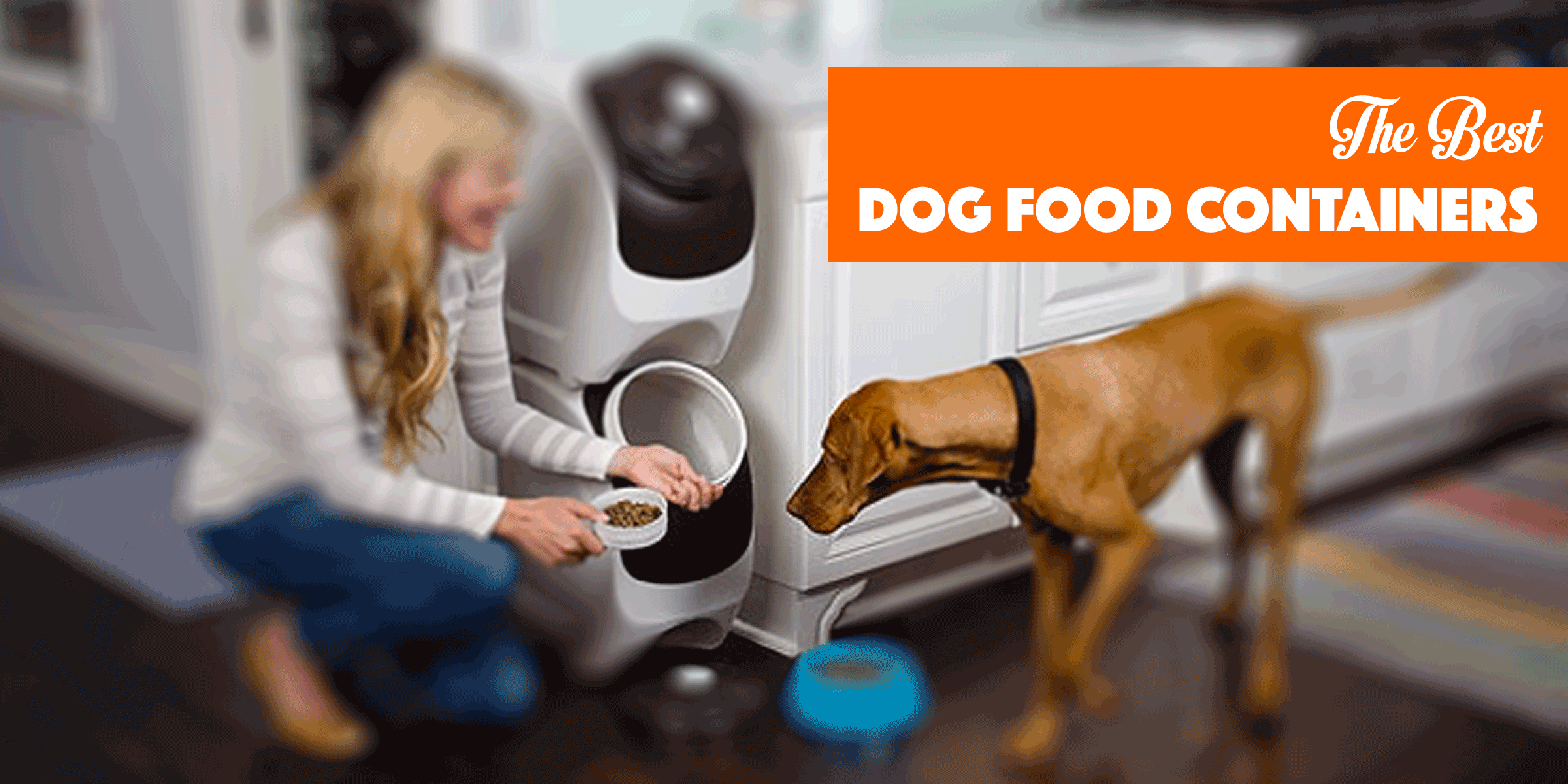 5 Best Dog Food Containers For Storing Dog's Kibble