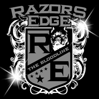 razors edge bullies and pitbulls