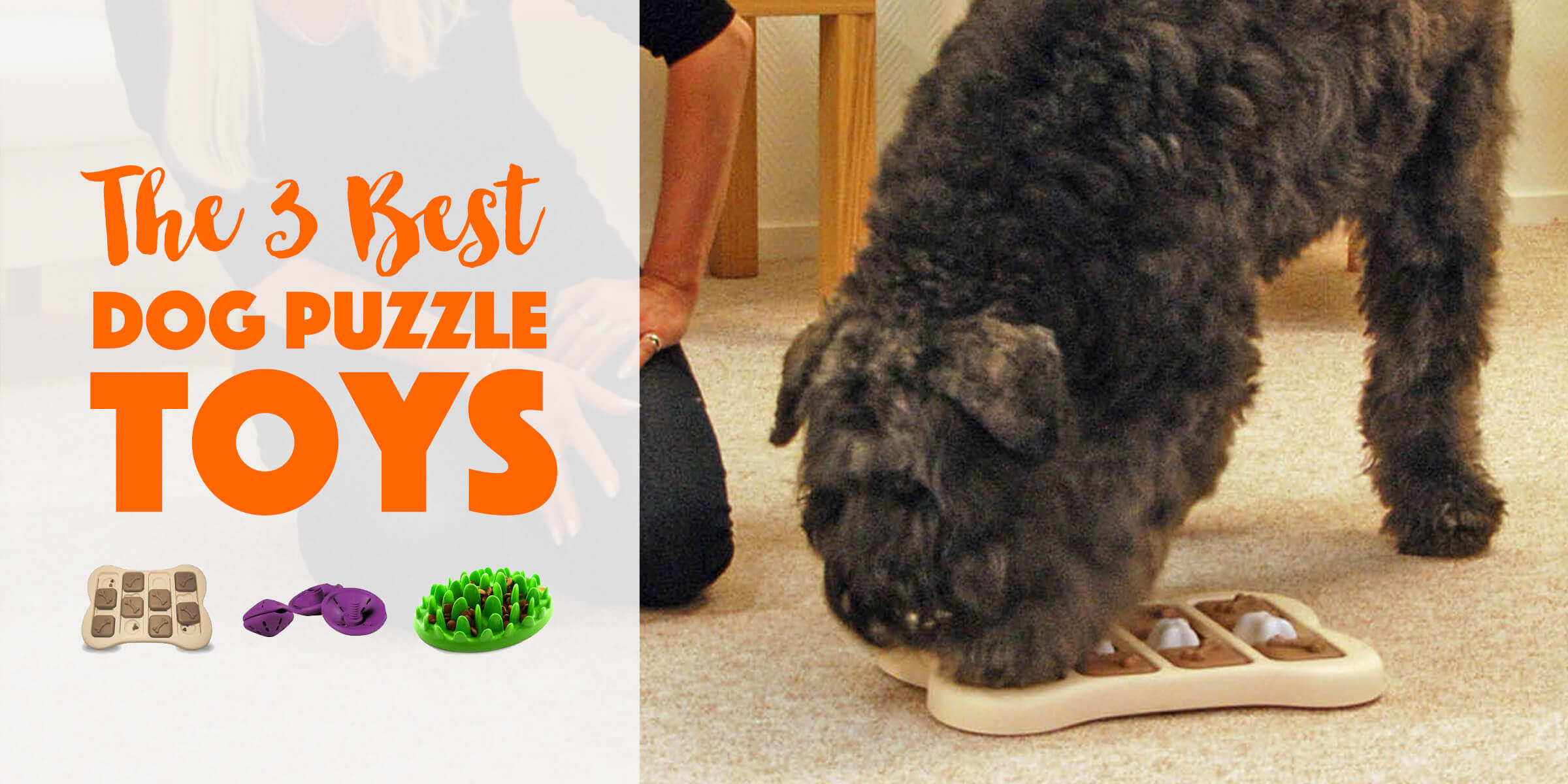 best dog puzzle toys