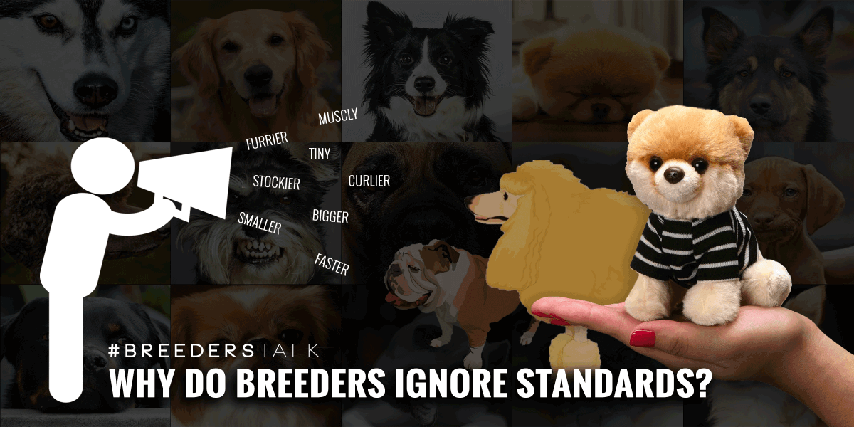 Debate Why Do Some Dog Breeders Ignore Breed Standards?
