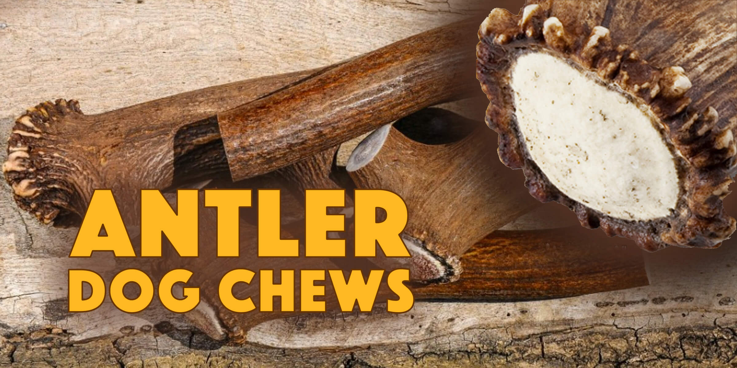 antler-dog-chews-safe-everlasting-chews-for-dogs