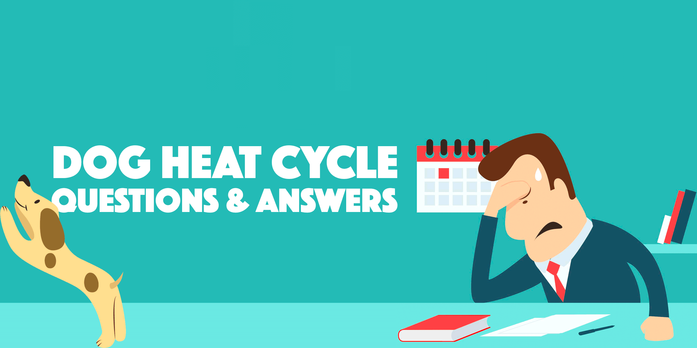 Dog Heat Cycle Frequently Asked Questions Answers,Prayer Shawl Tallit