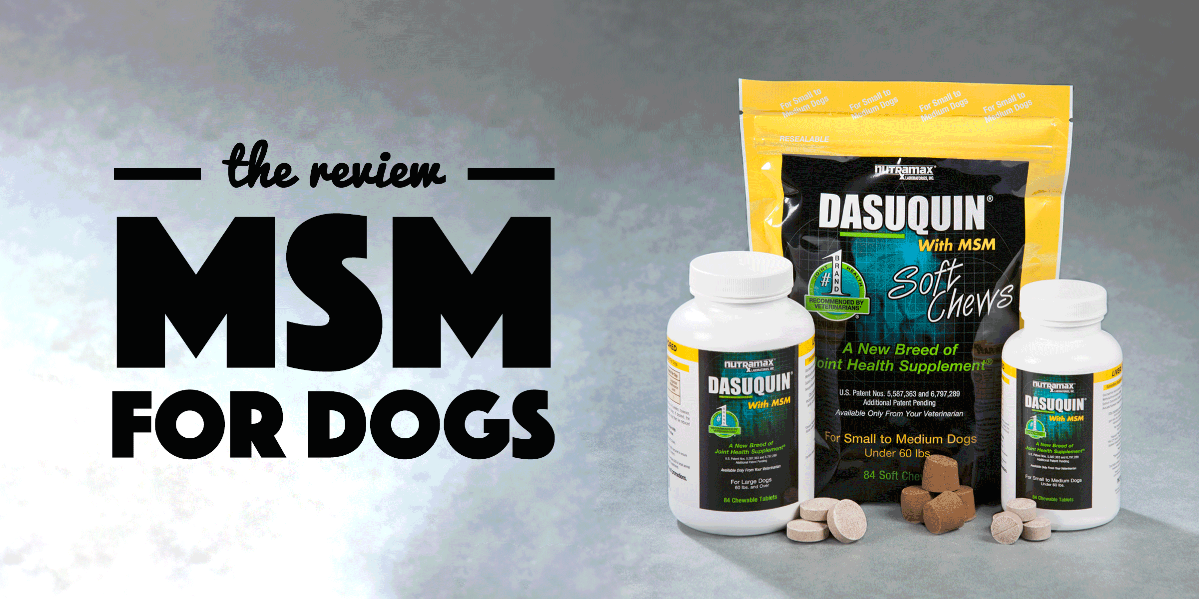 MSM For Dogs — The Best Joint & Arthritis Supplement?