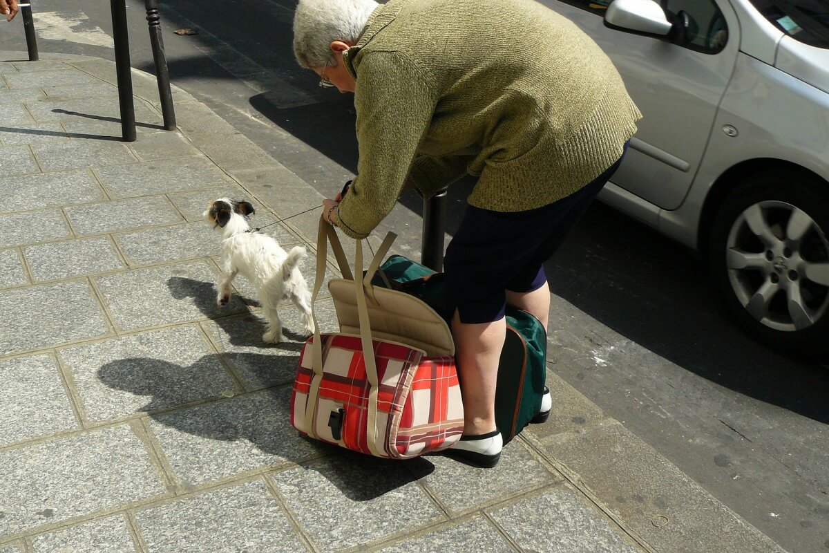 Senior dog owner