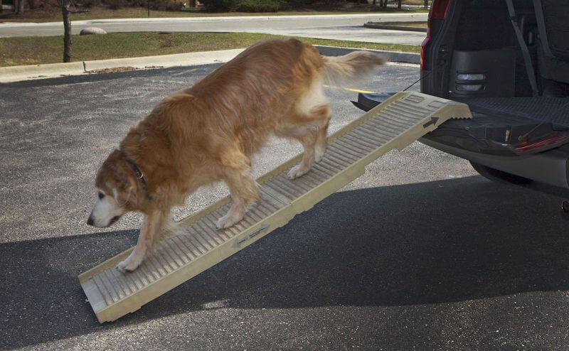 diy dog ramp for suv
