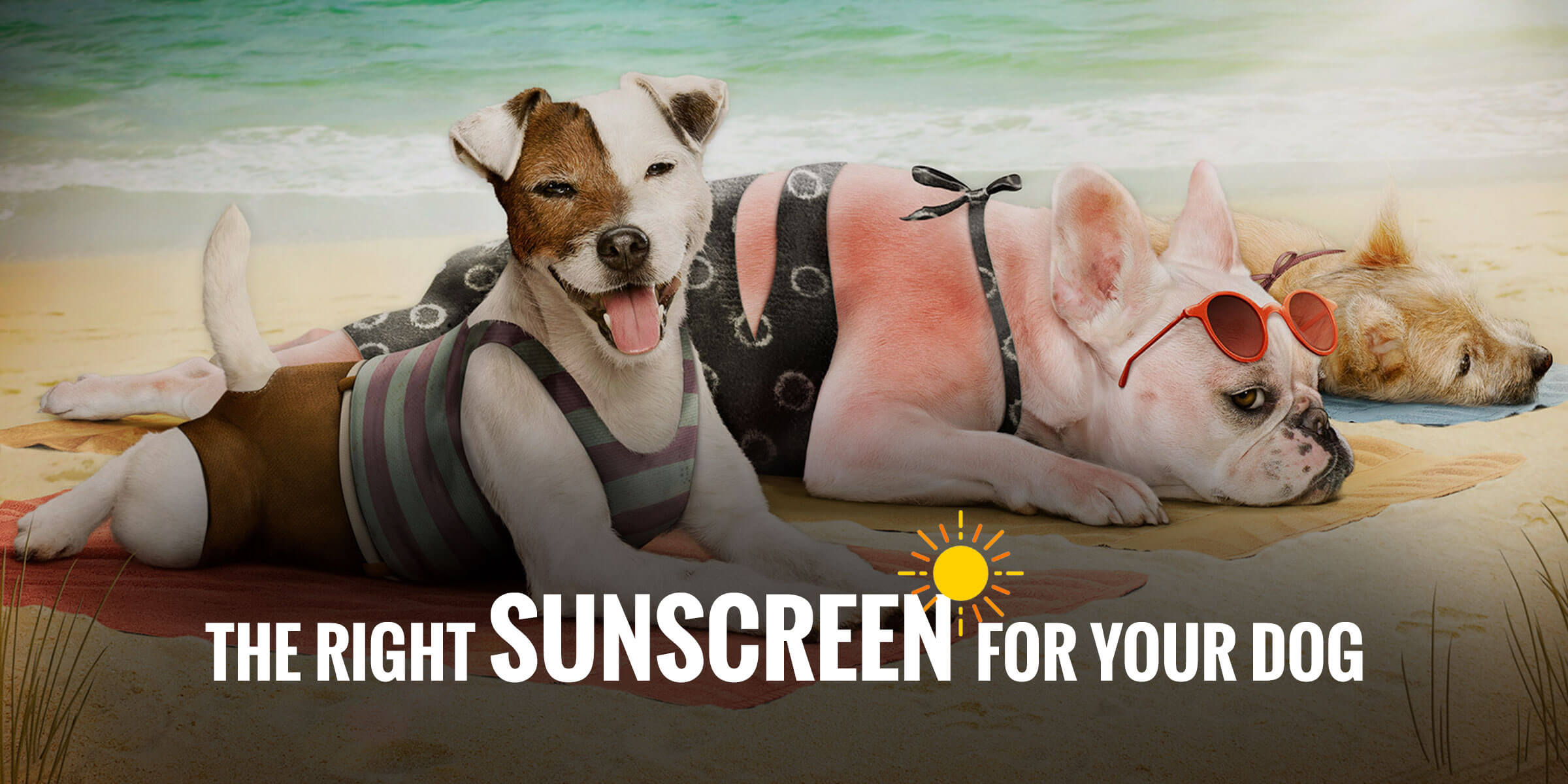 natural dog sunscreen