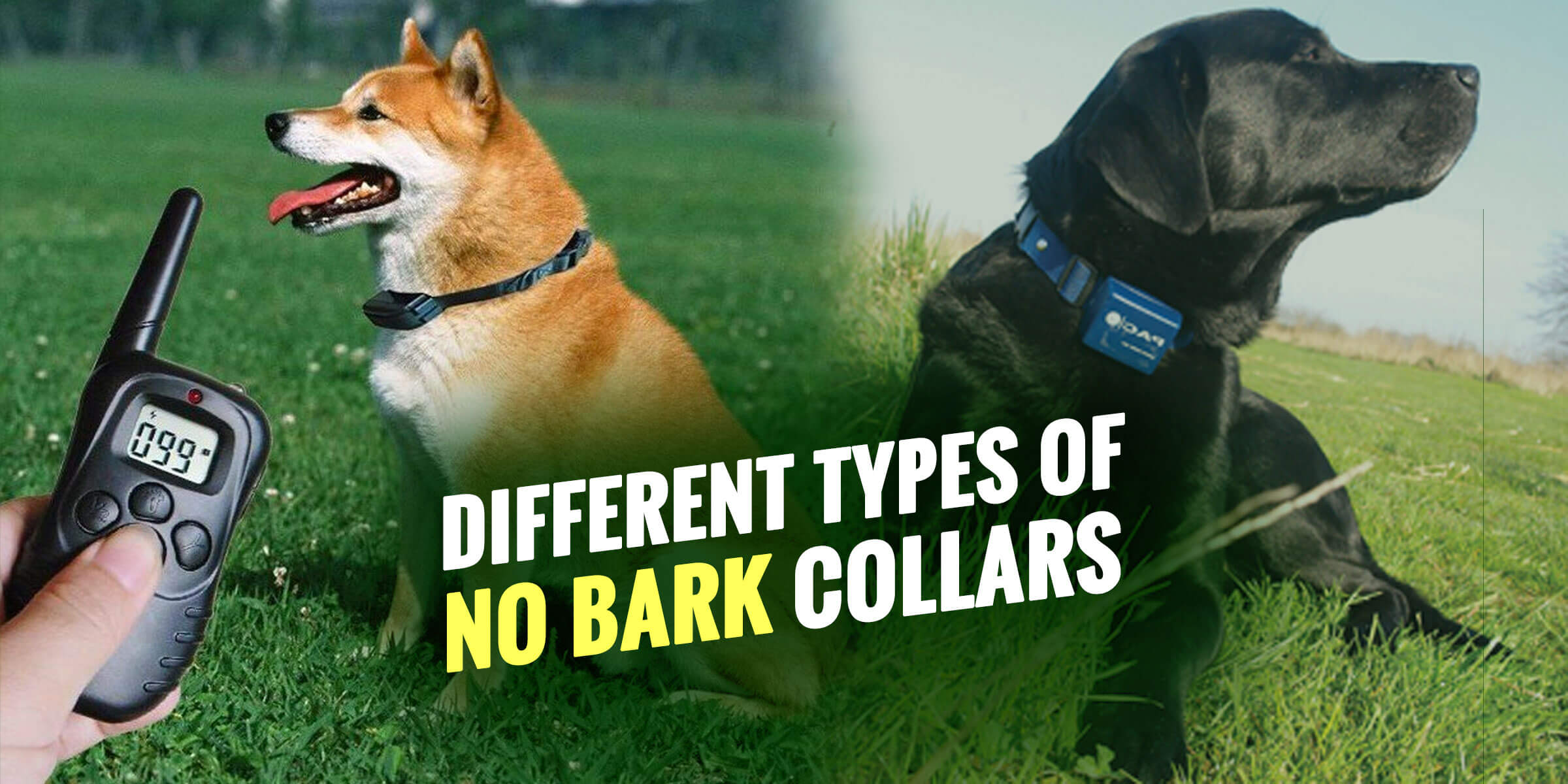 best no bark collar for dogs